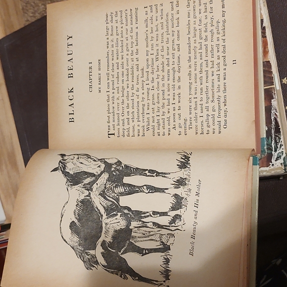 Robin Hood by Howard Pyle, Black Beauty Anna Sewell Whitman Publishing Company - Picture 12 of 14